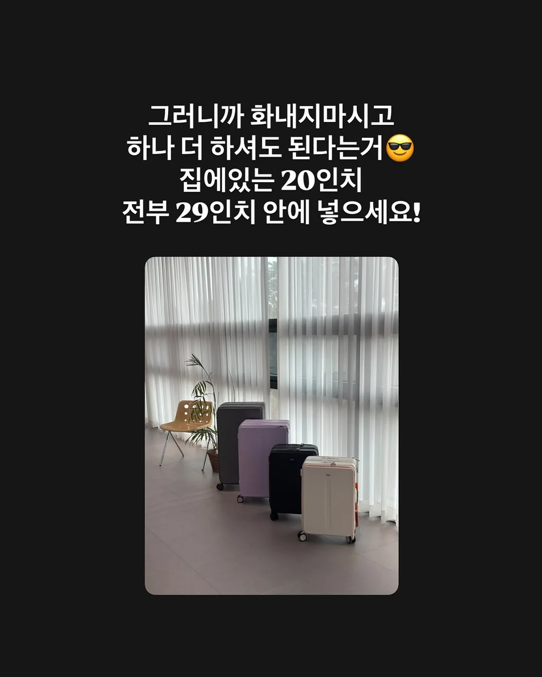 카네이션 꿀백설기 7