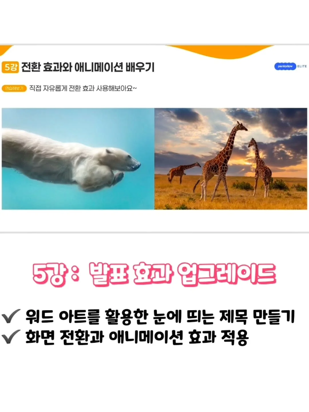 수분천재크림 6