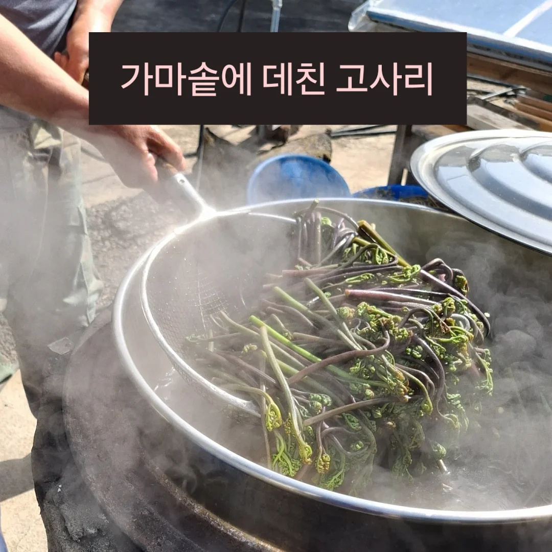 로즈가디건 1
