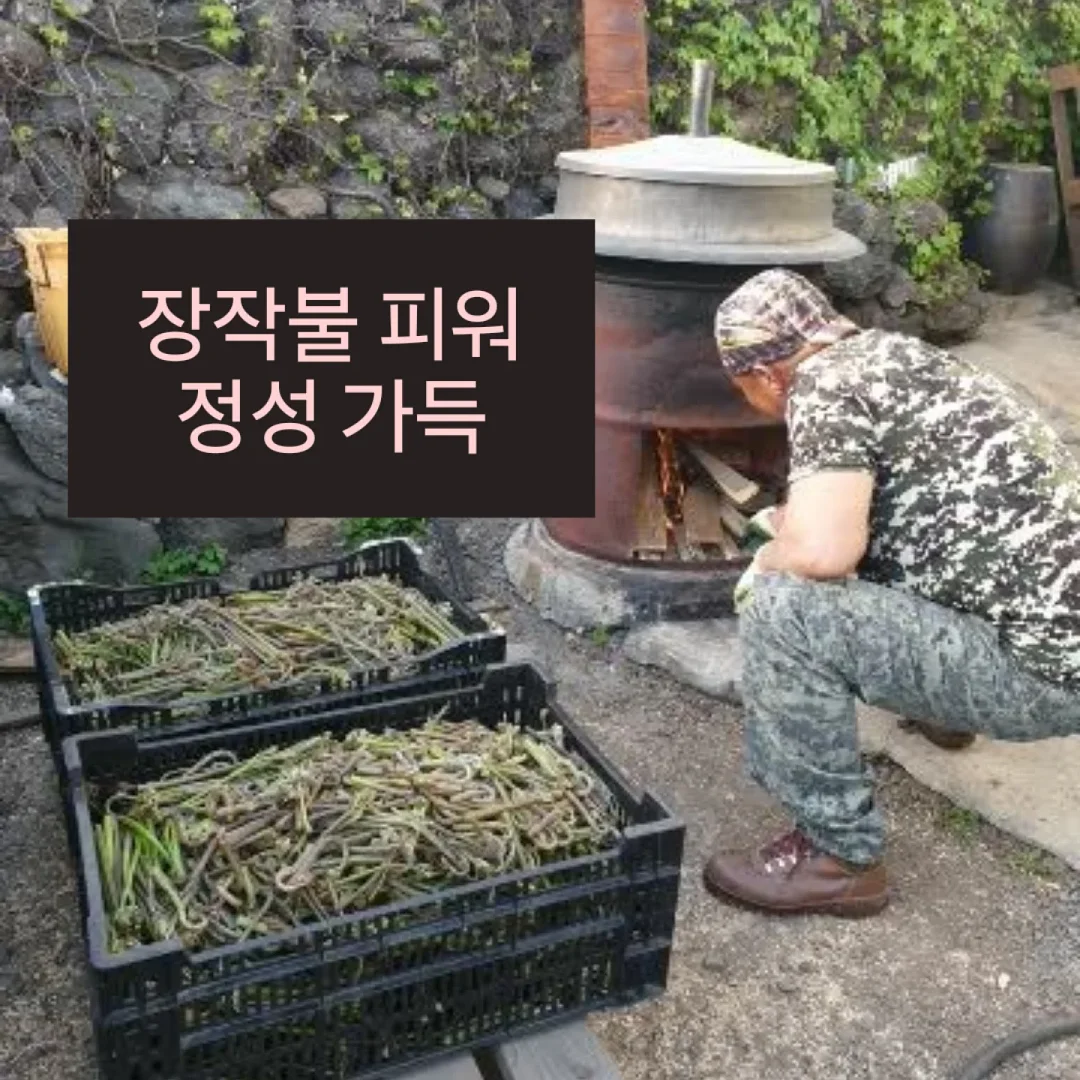 로즈가디건 2