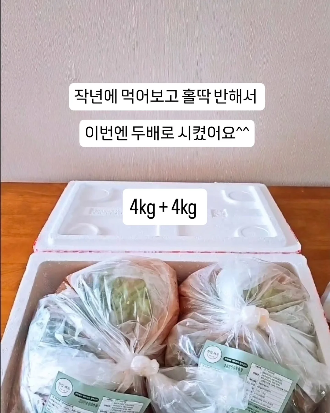 금붕어 미니 엽서 부채 16