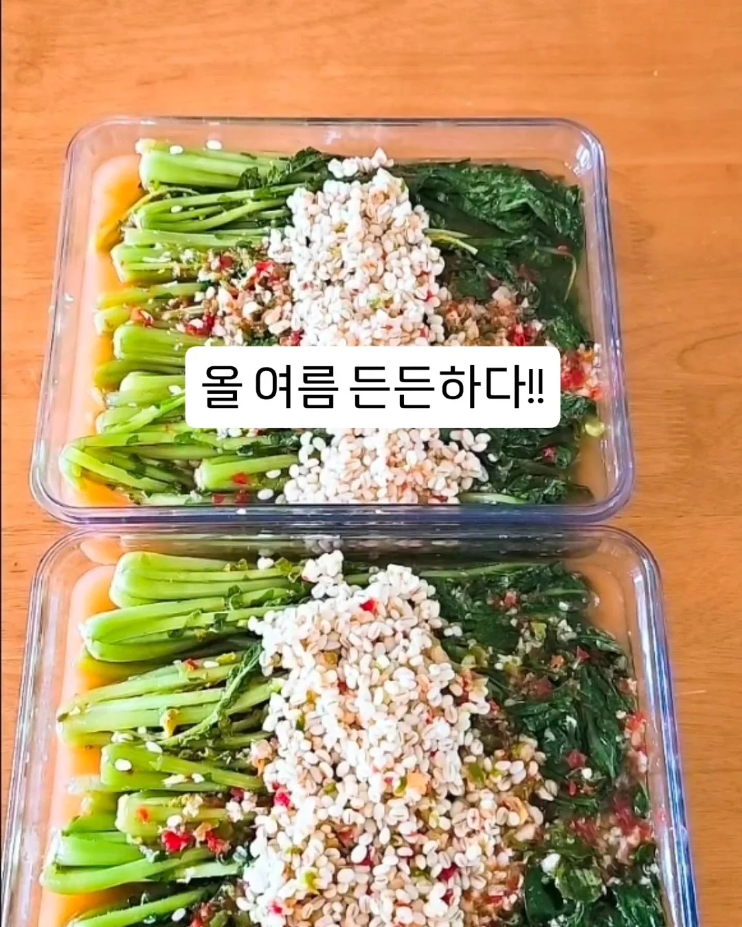 금붕어 미니 엽서 부채 17