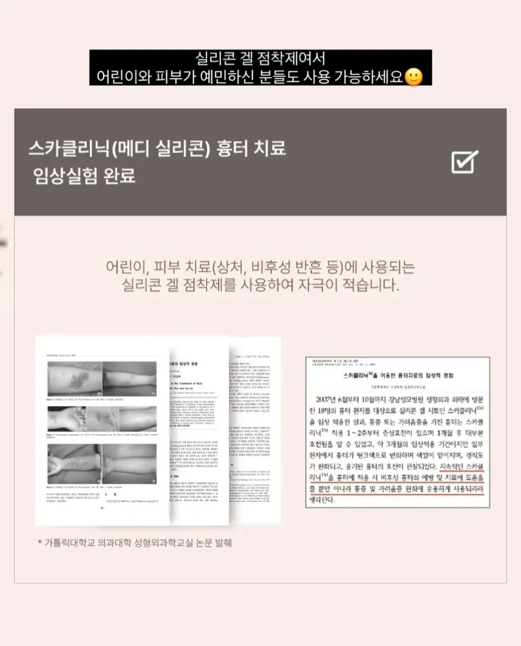 와인파니에 우드 10