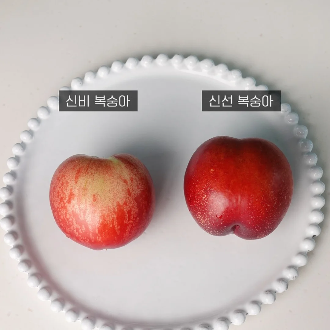 진주 목걸이 1