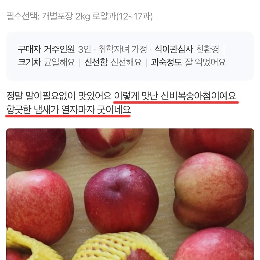 진주 목걸이 11