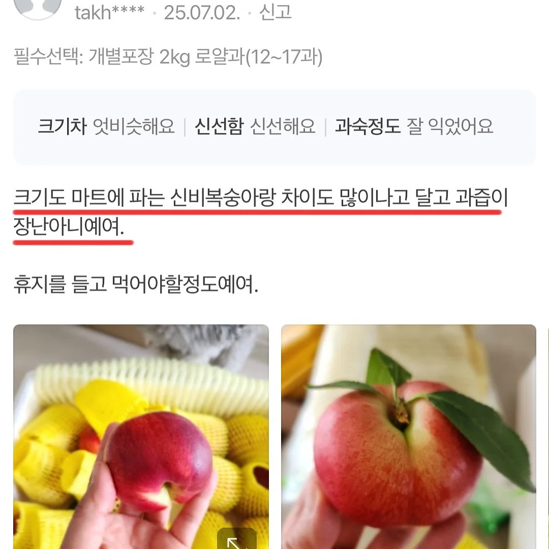 진주 목걸이 12
