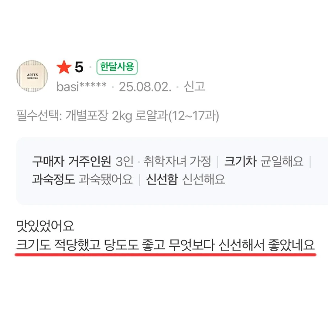 진주 목걸이 13