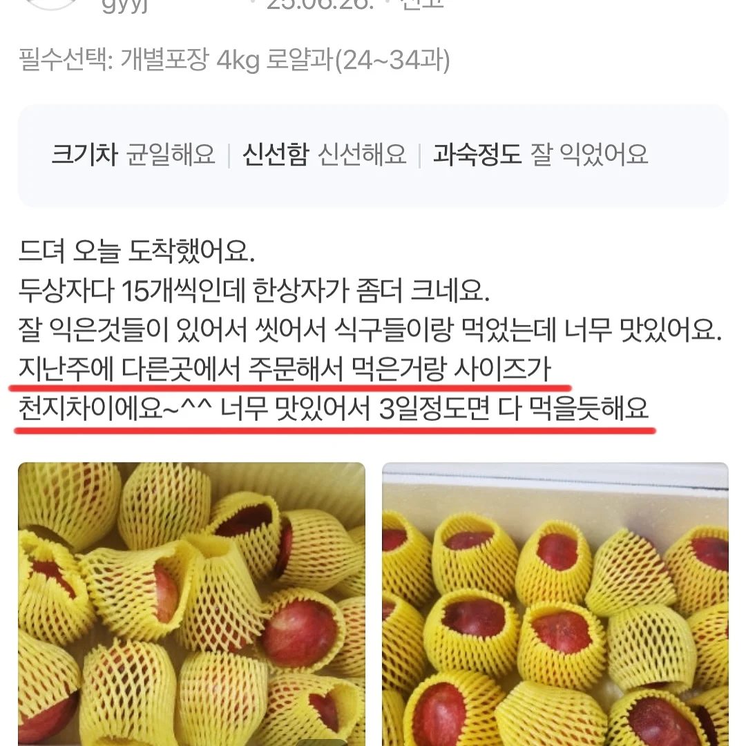 진주 목걸이 14