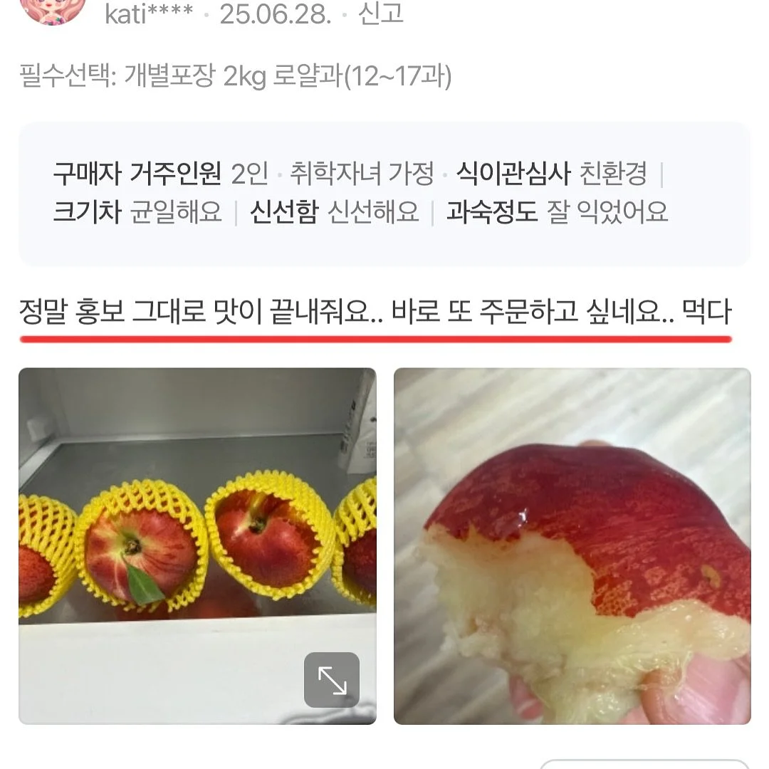 진주 목걸이 15