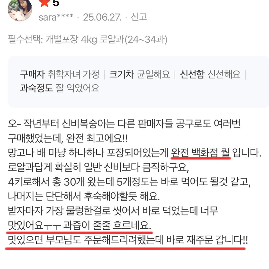 진주 목걸이 16