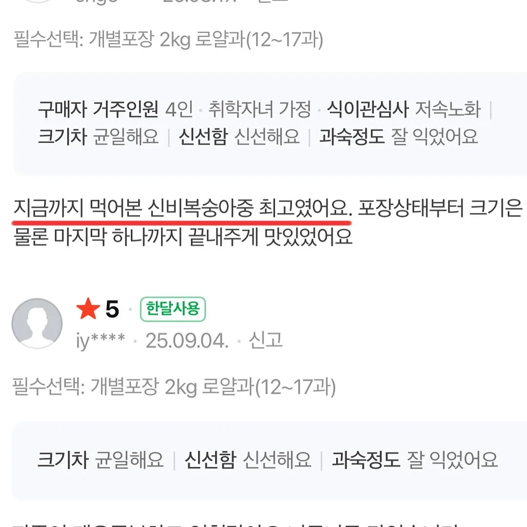 진주 목걸이 18