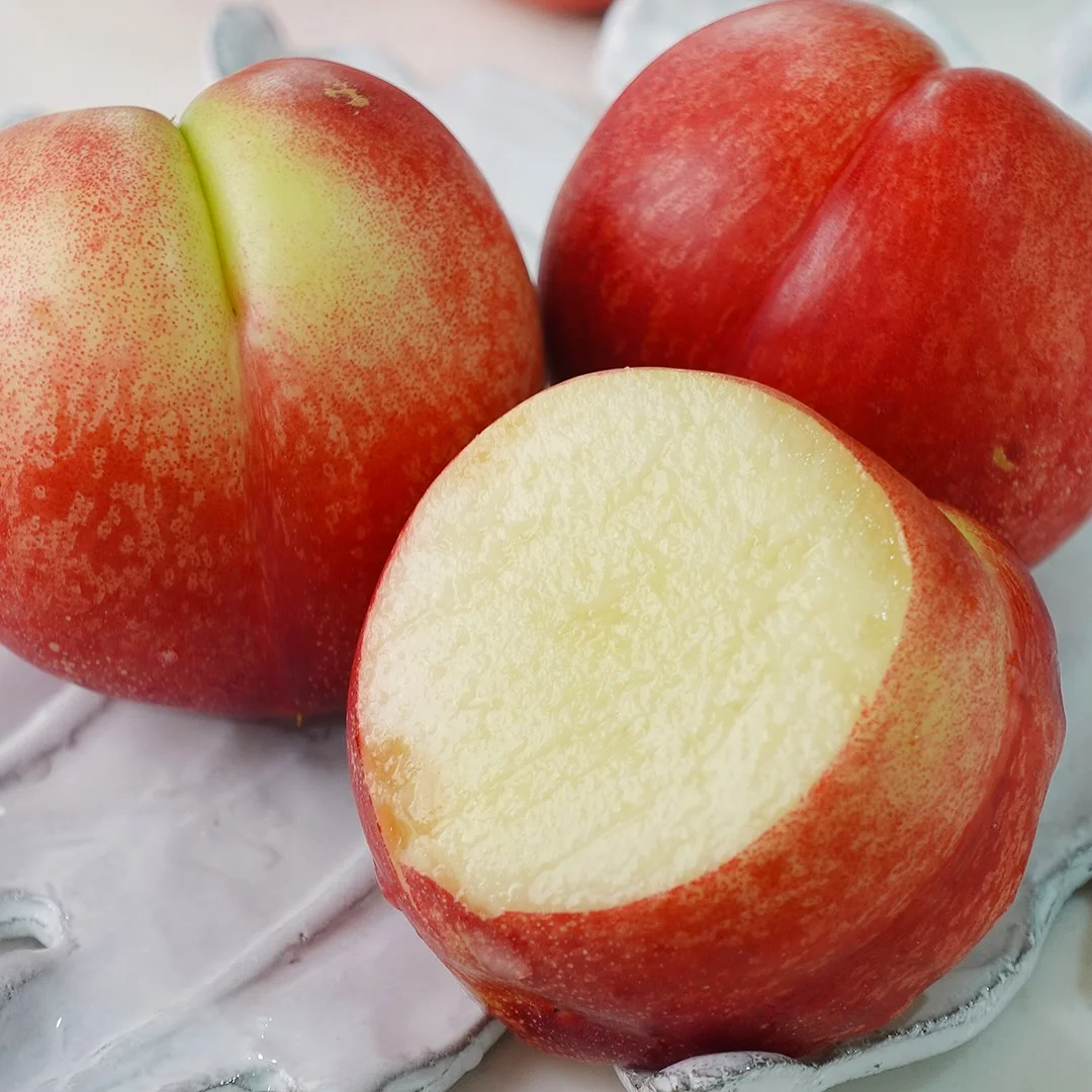 진주 목걸이 19