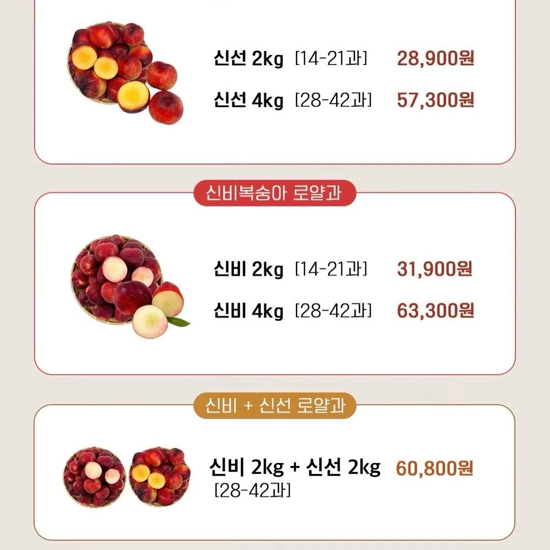 진주 목걸이 20
