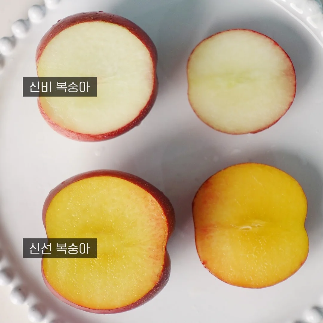진주 목걸이 2