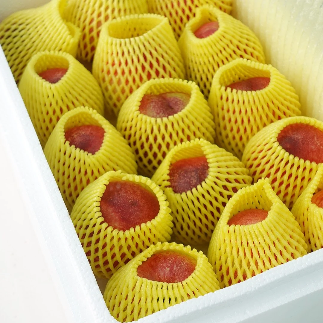 진주 목걸이 5