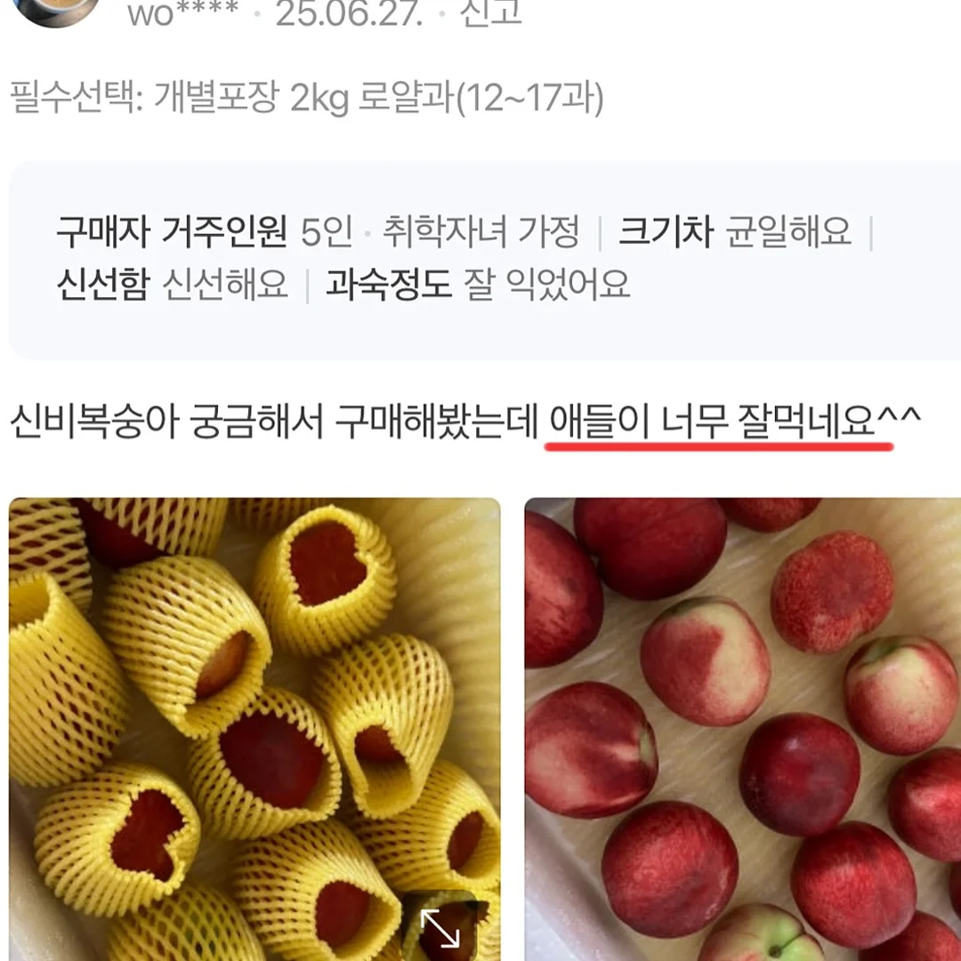 진주 목걸이 7