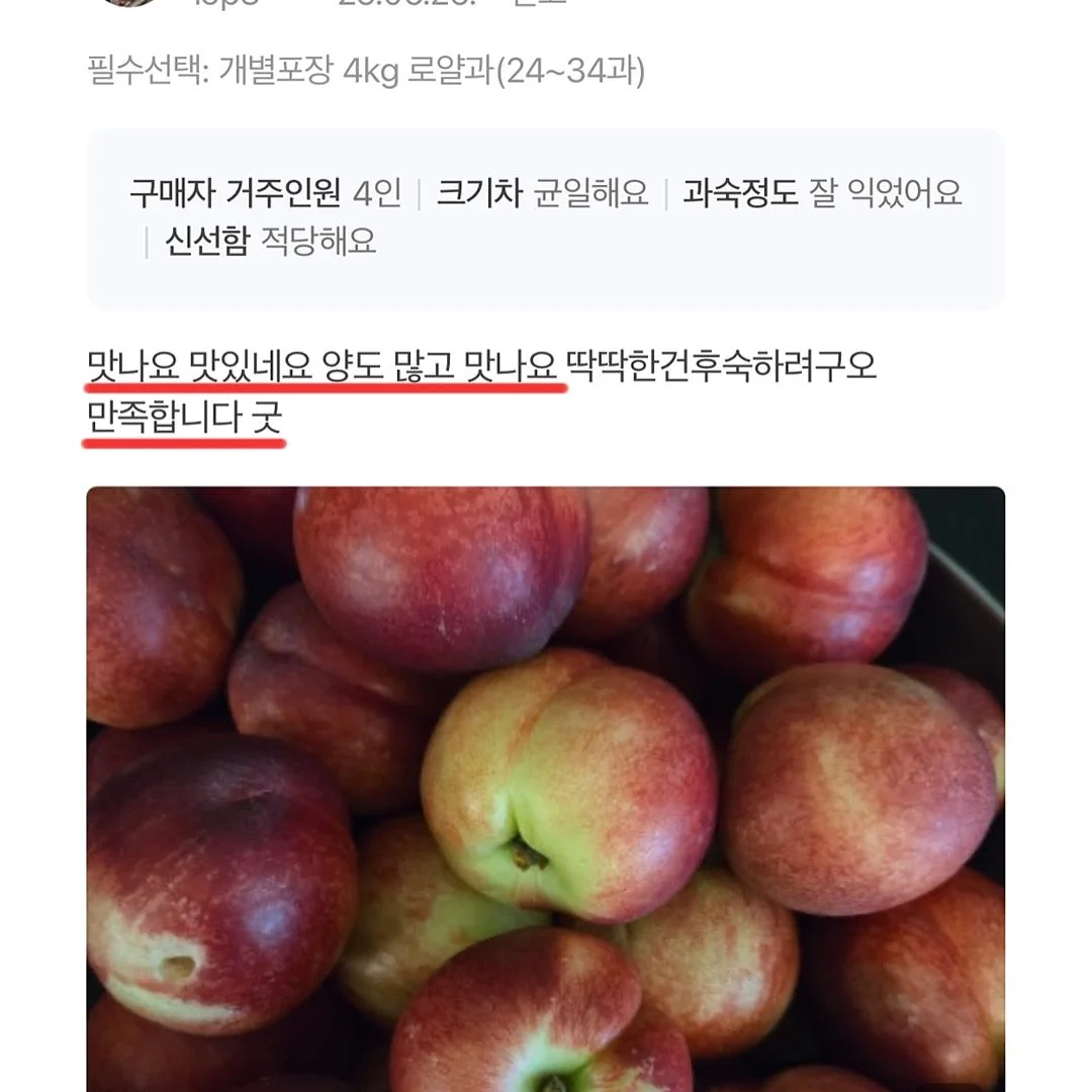 진주 목걸이 8