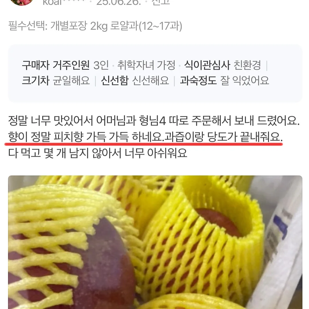 진주 목걸이 10