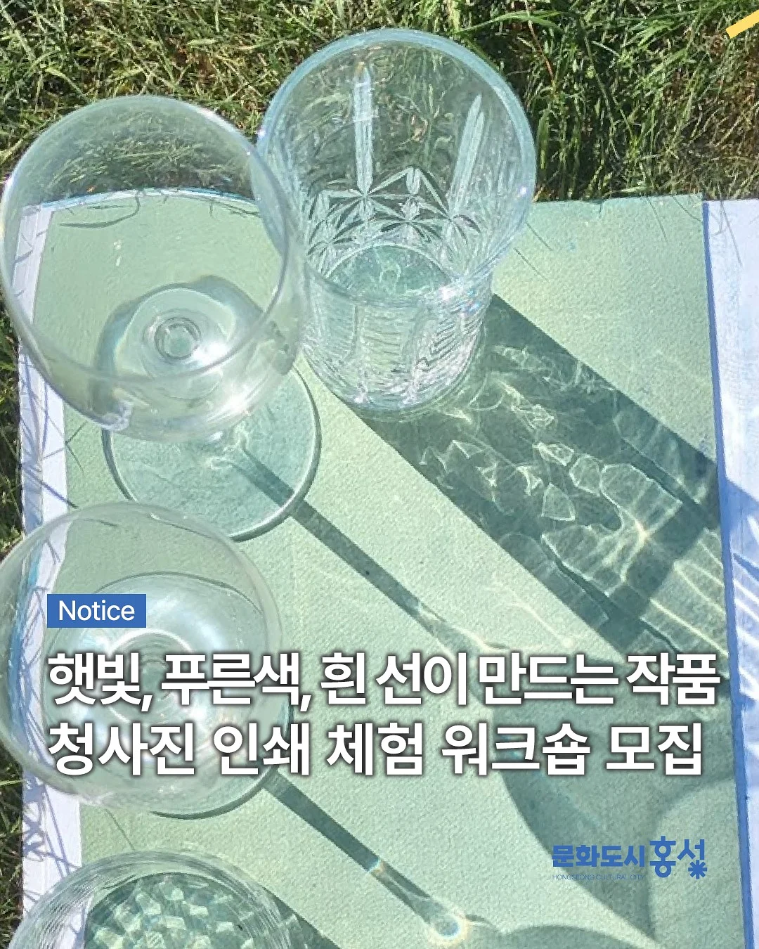 시그니처 백립 1