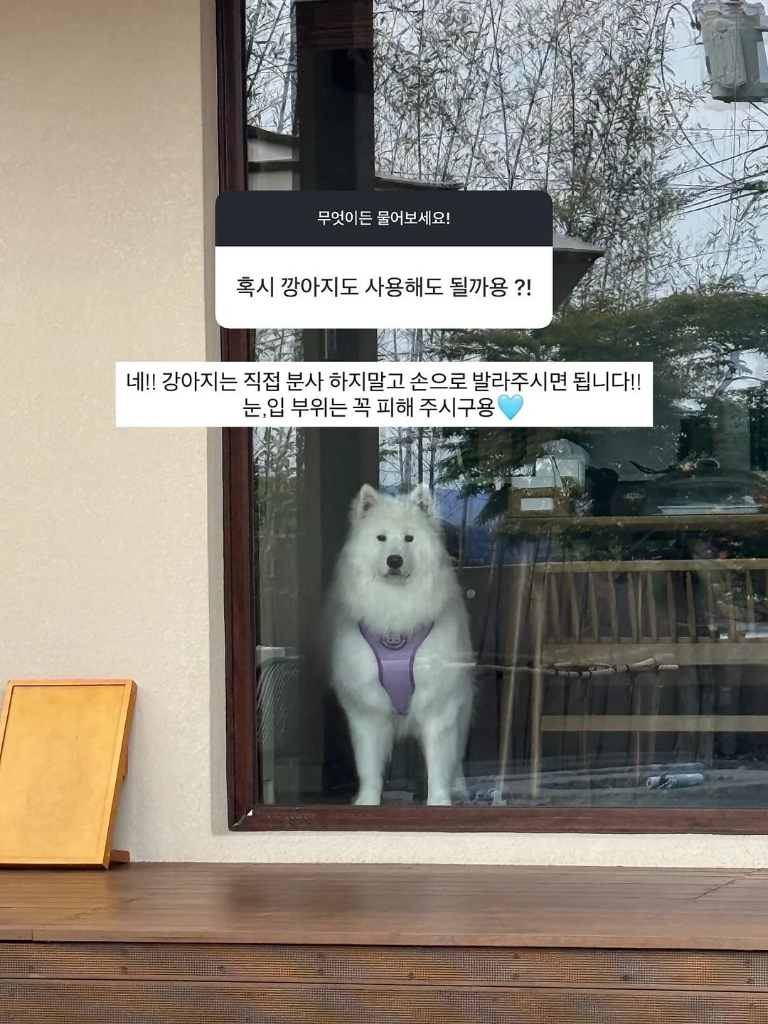 혼게 다리육포 5