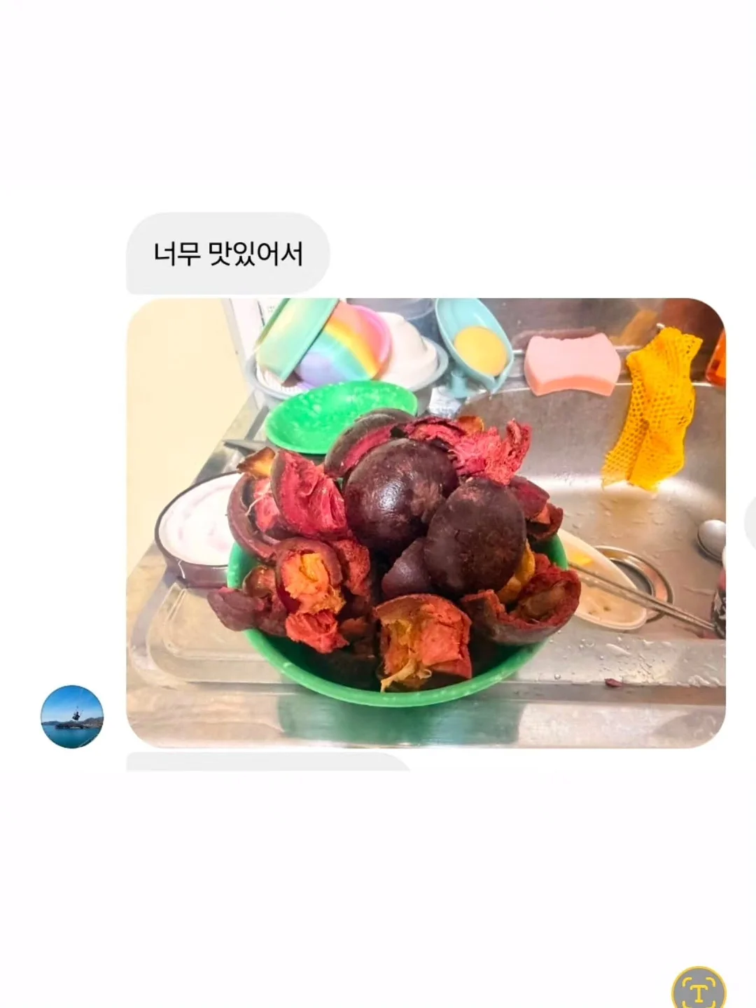 강아지 전용 투명 우산 리드줄 2