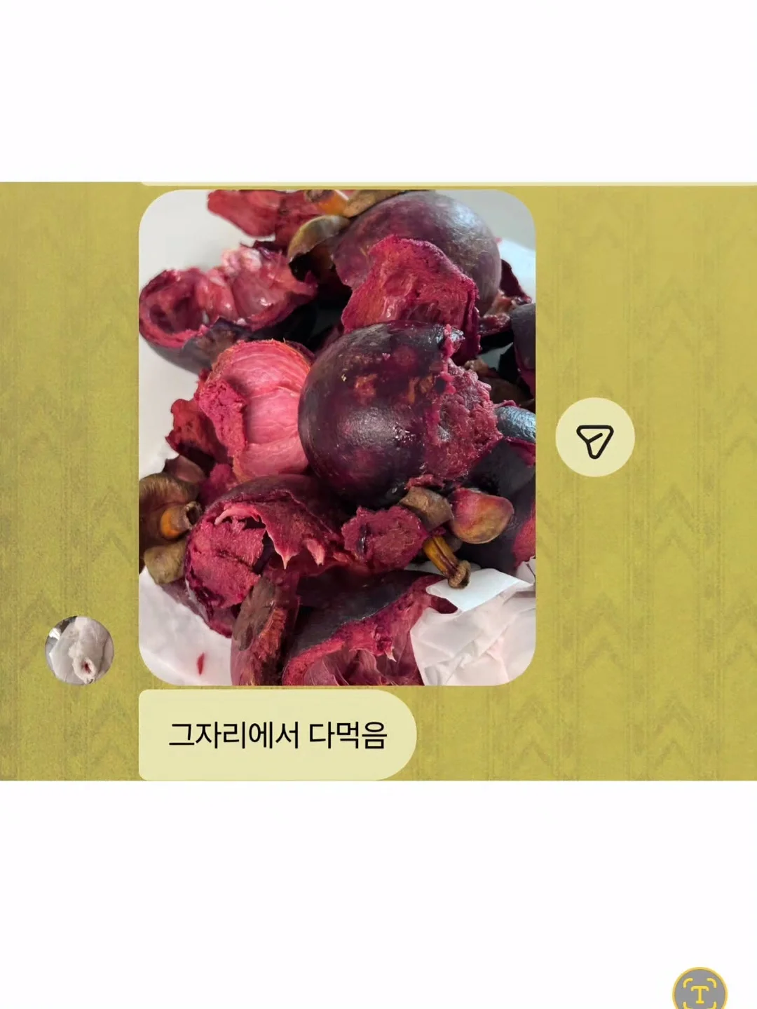 강아지 전용 투명 우산 리드줄 3