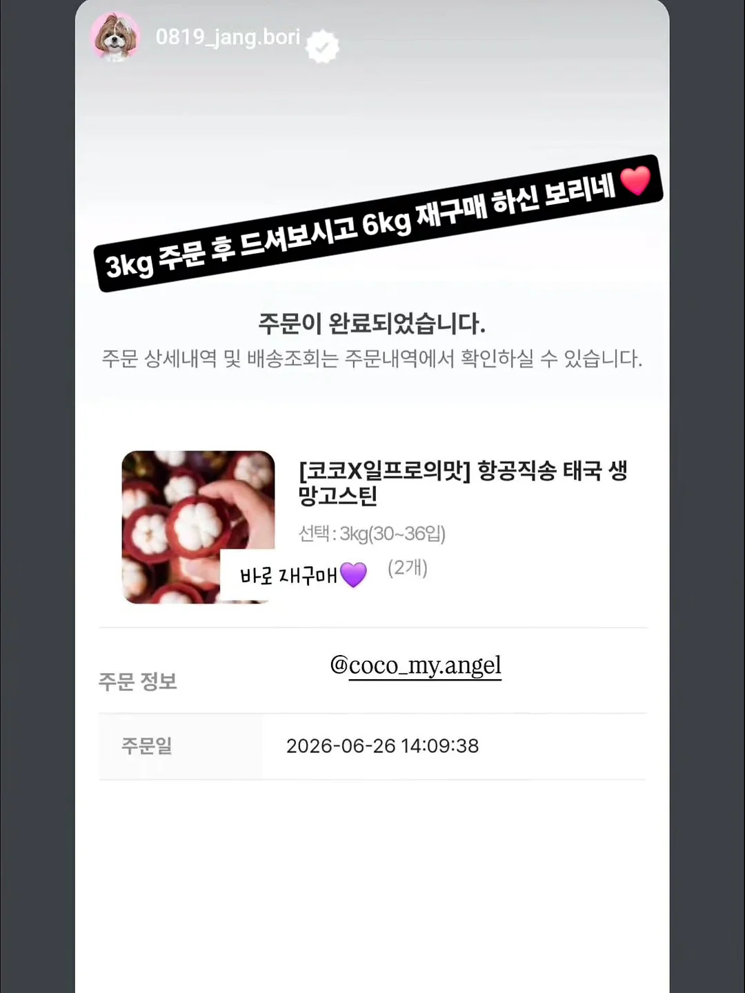 강아지 전용 투명 우산 리드줄 5
