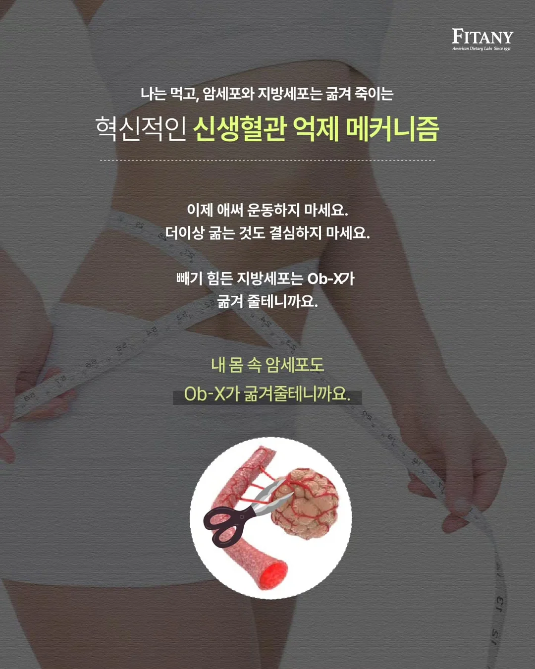 14P 초자연눈썹 및 SMP 실전 기술 특강 8