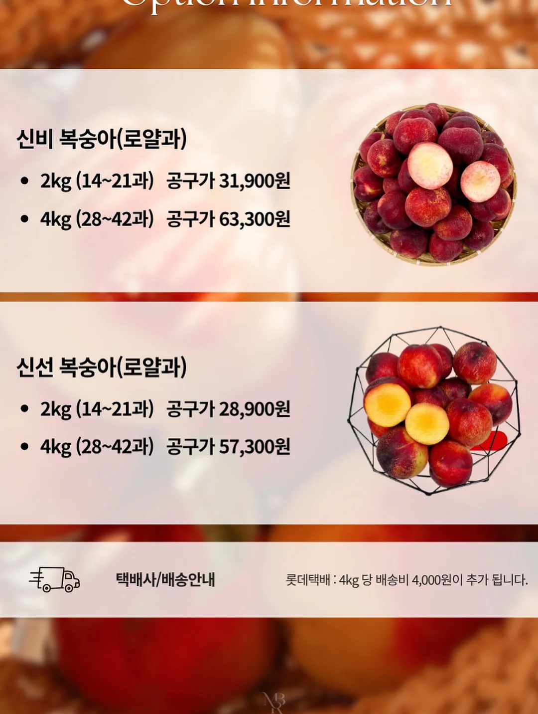 SAT Summer Intensive 2026 Reading & Writing + Math 4주 집중반 4
