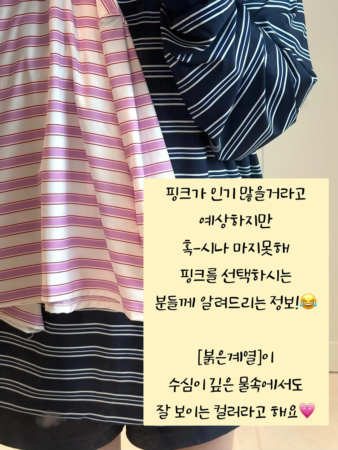 제주 냉동고사리 15