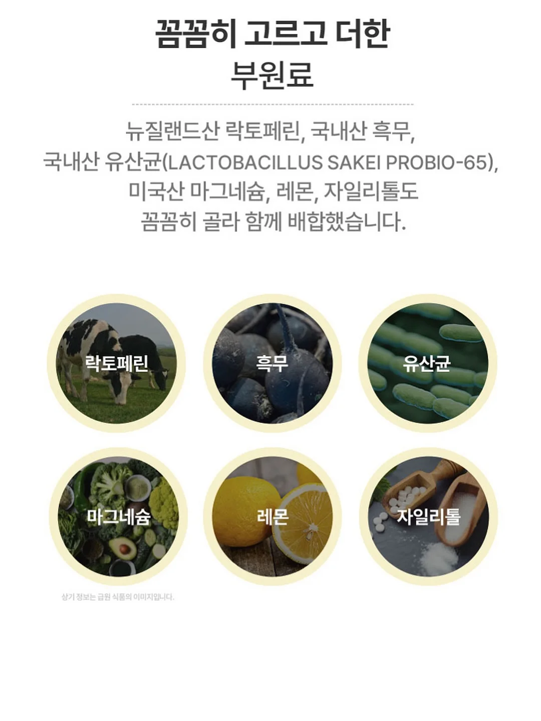 실버 반지 11