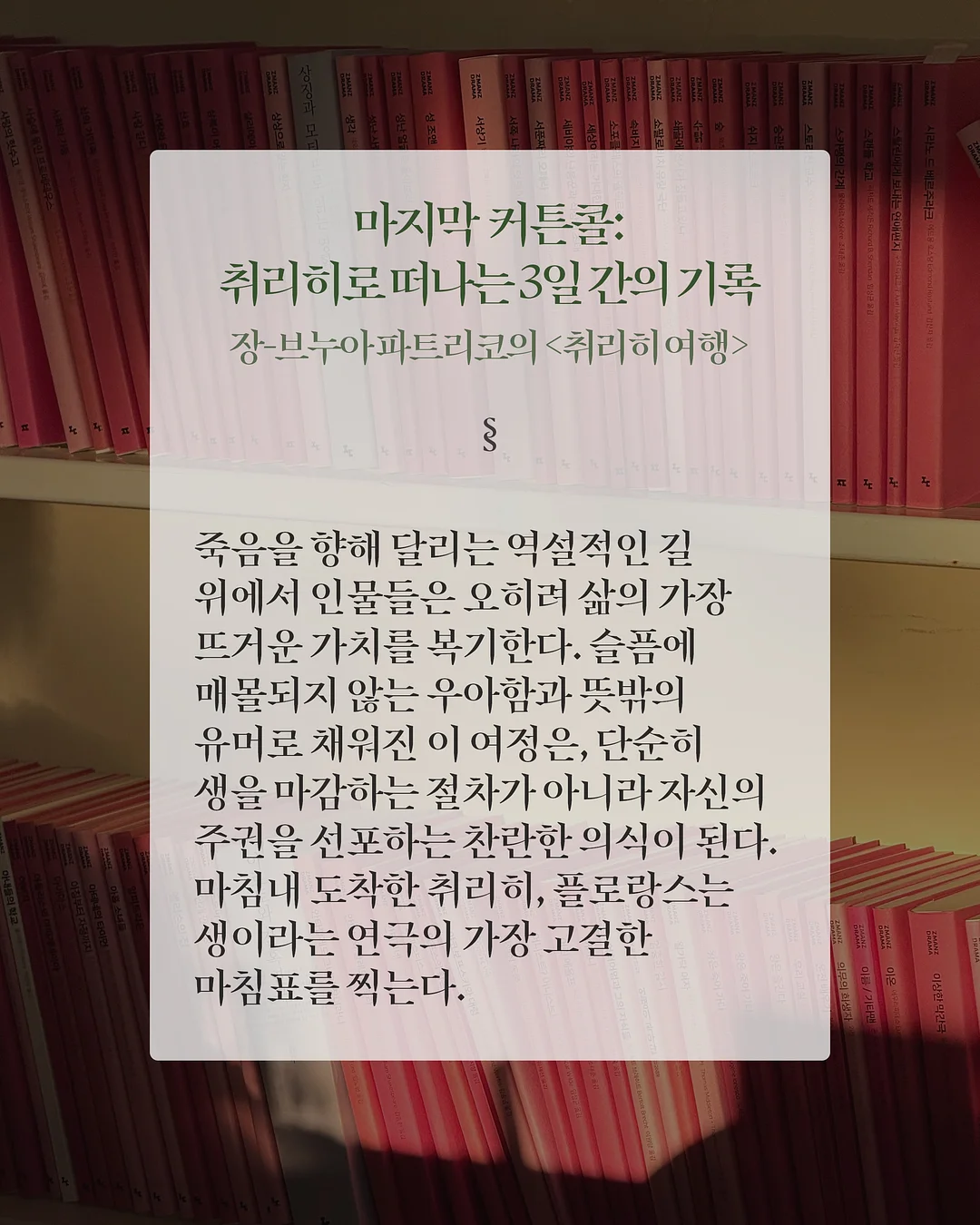 상의 5