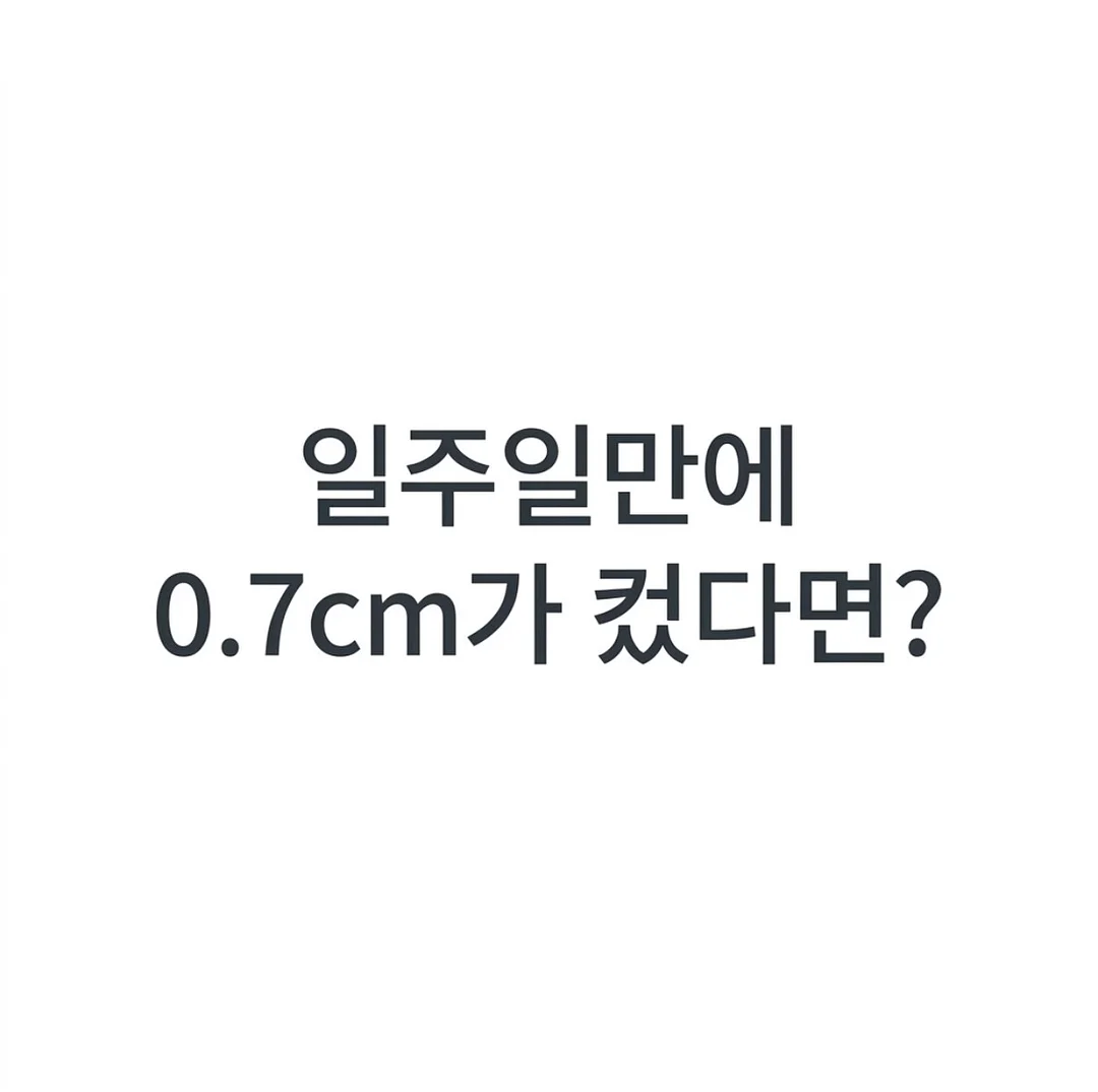 UNOX BAKERTOP-X 오븐 1