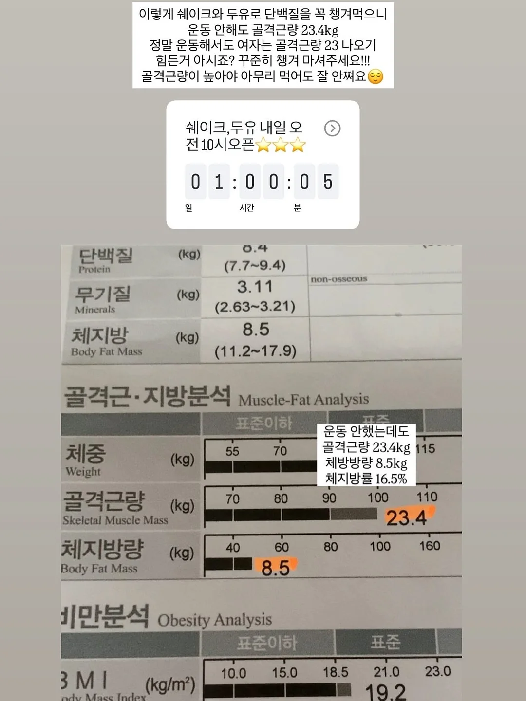 피규어 전시 스탠드 5