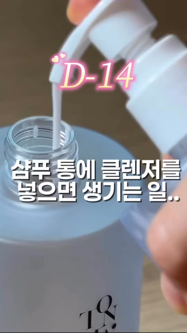 운명책