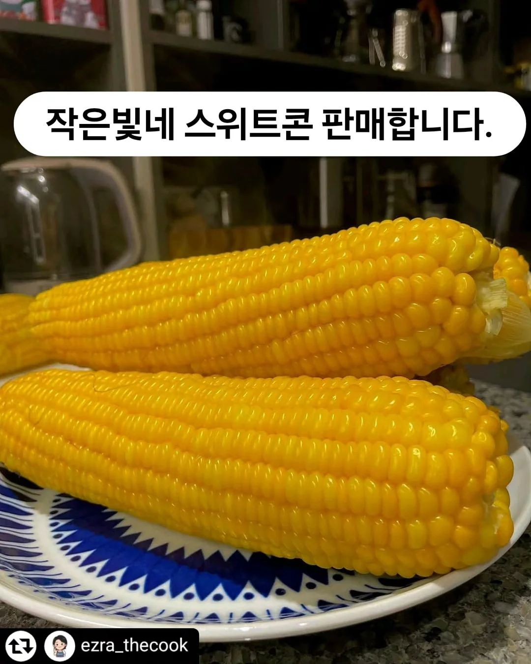 로버 스트라이프 홀터 블라우스 1