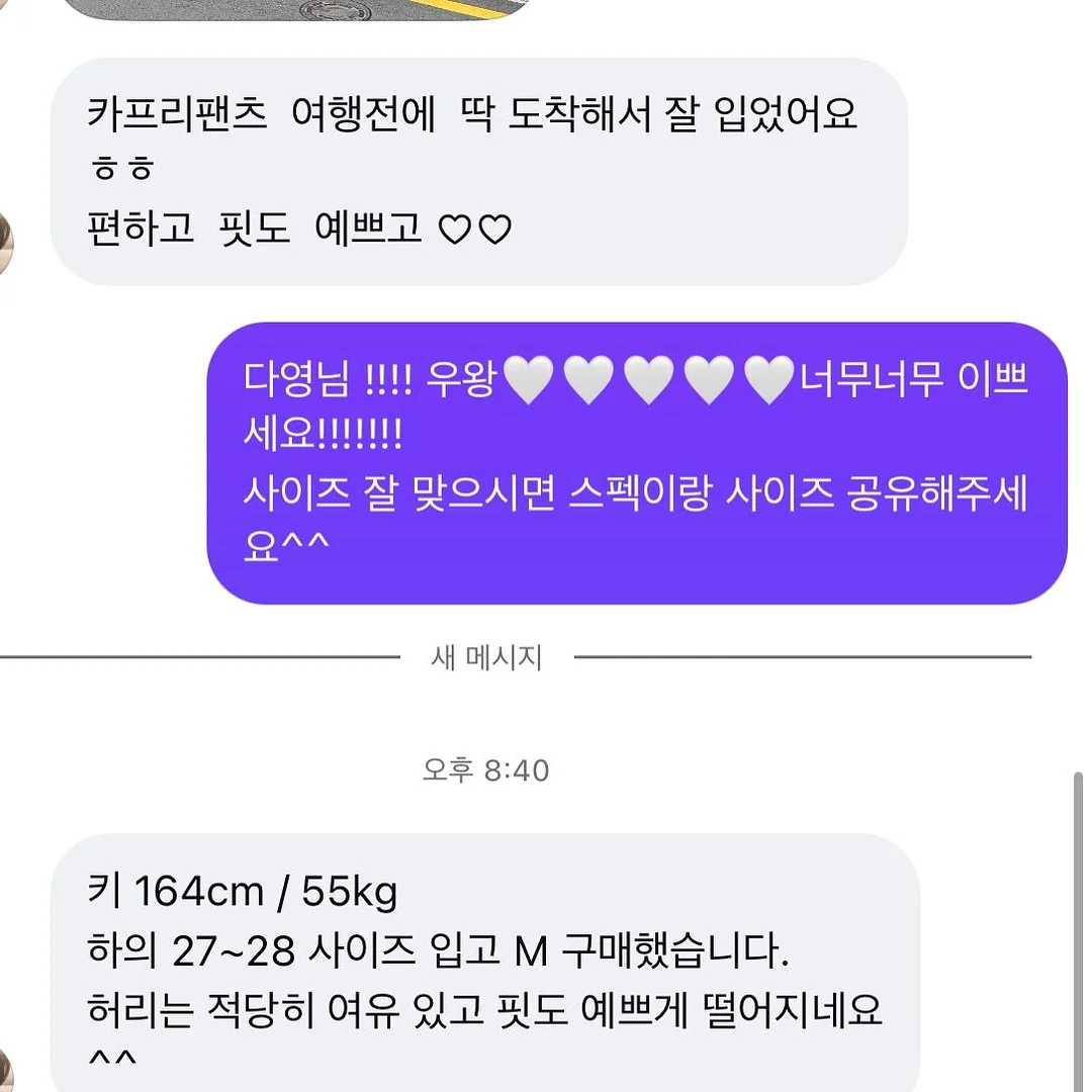 파타고니아 반바지쇼츠 5