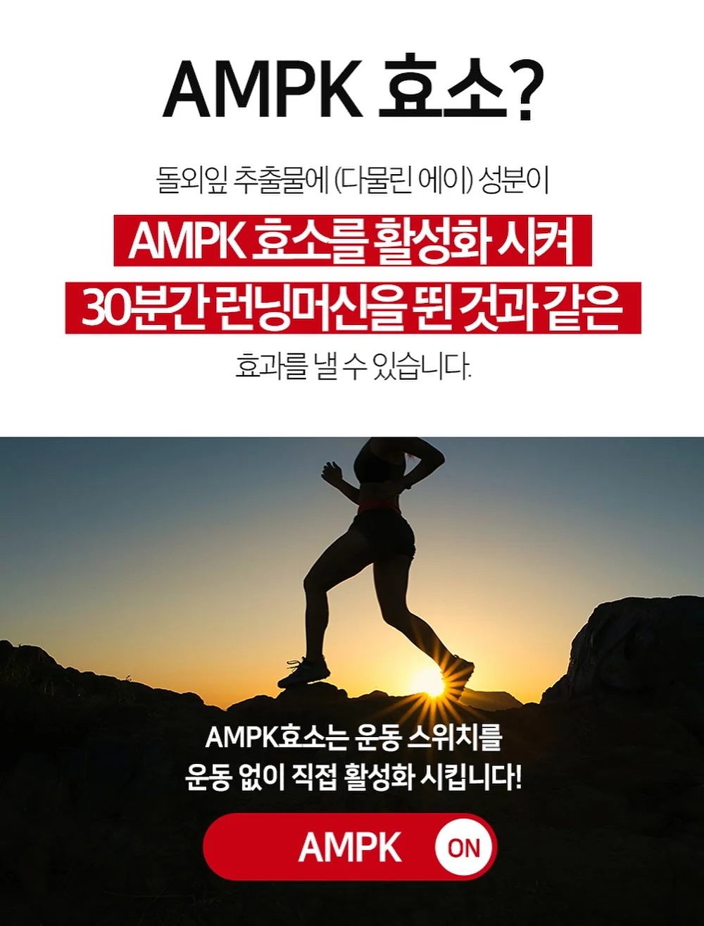 무타공 후크 3