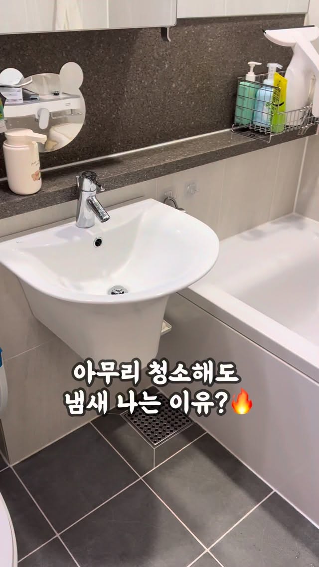 서울 5-6월 예약