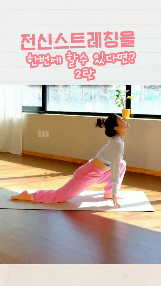 쌀 막걸리 랩핑 마스크