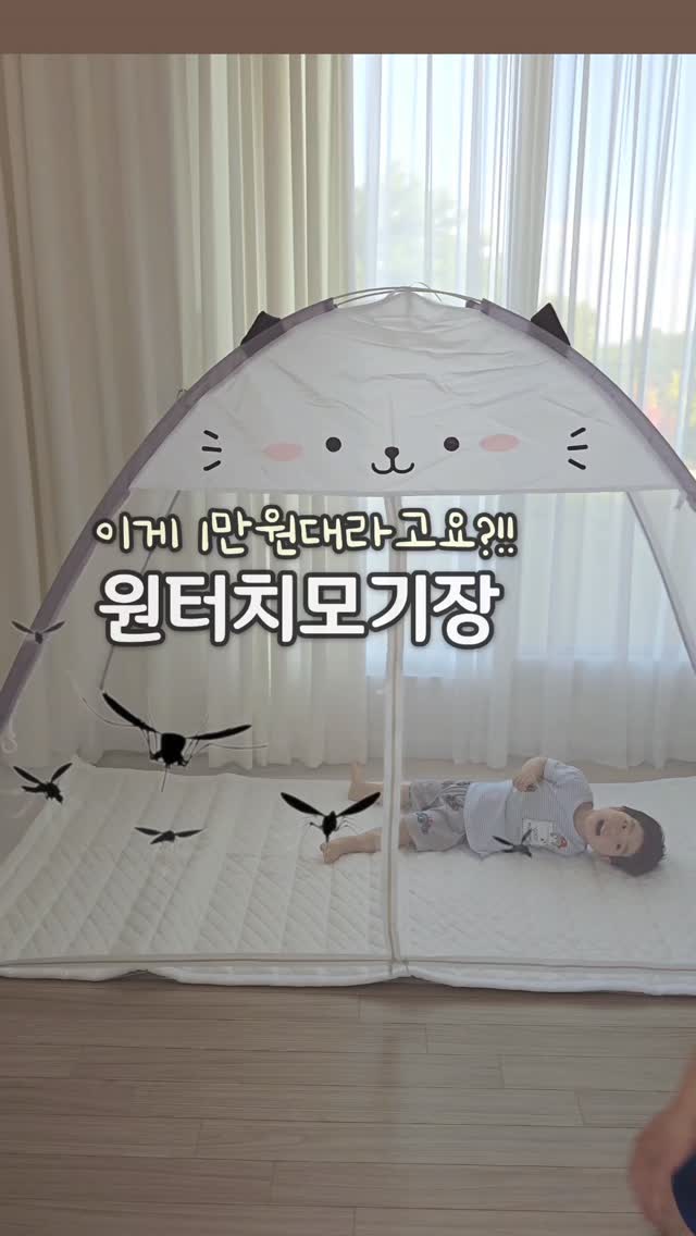 기획전