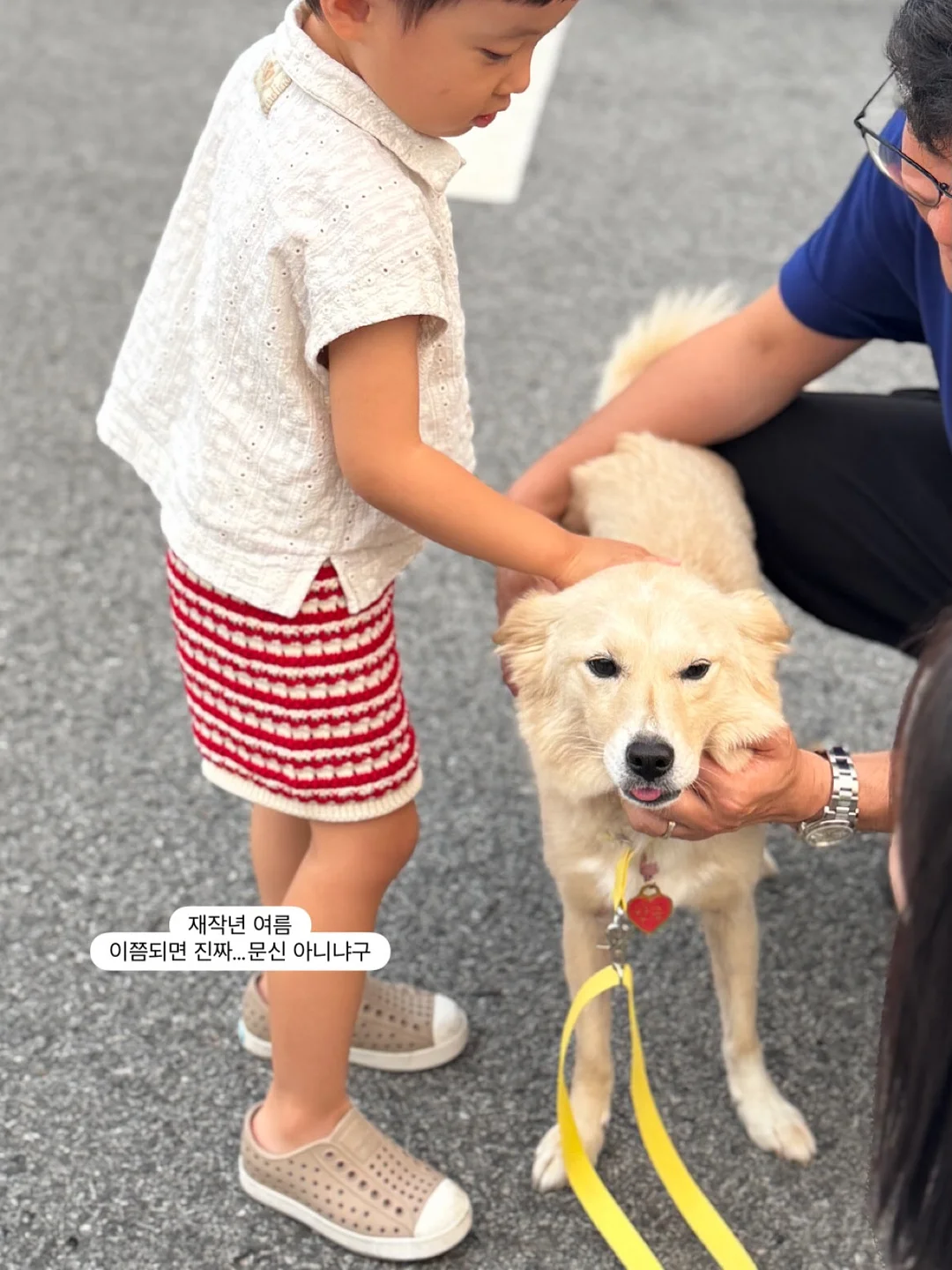 더마핏 근손실방지크림 13