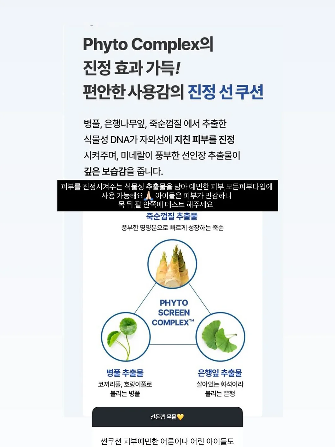 펄스젤 마그넷 10