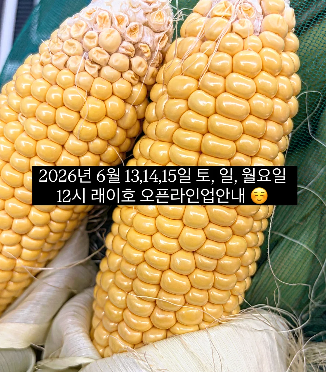 유기 수저 세트 1