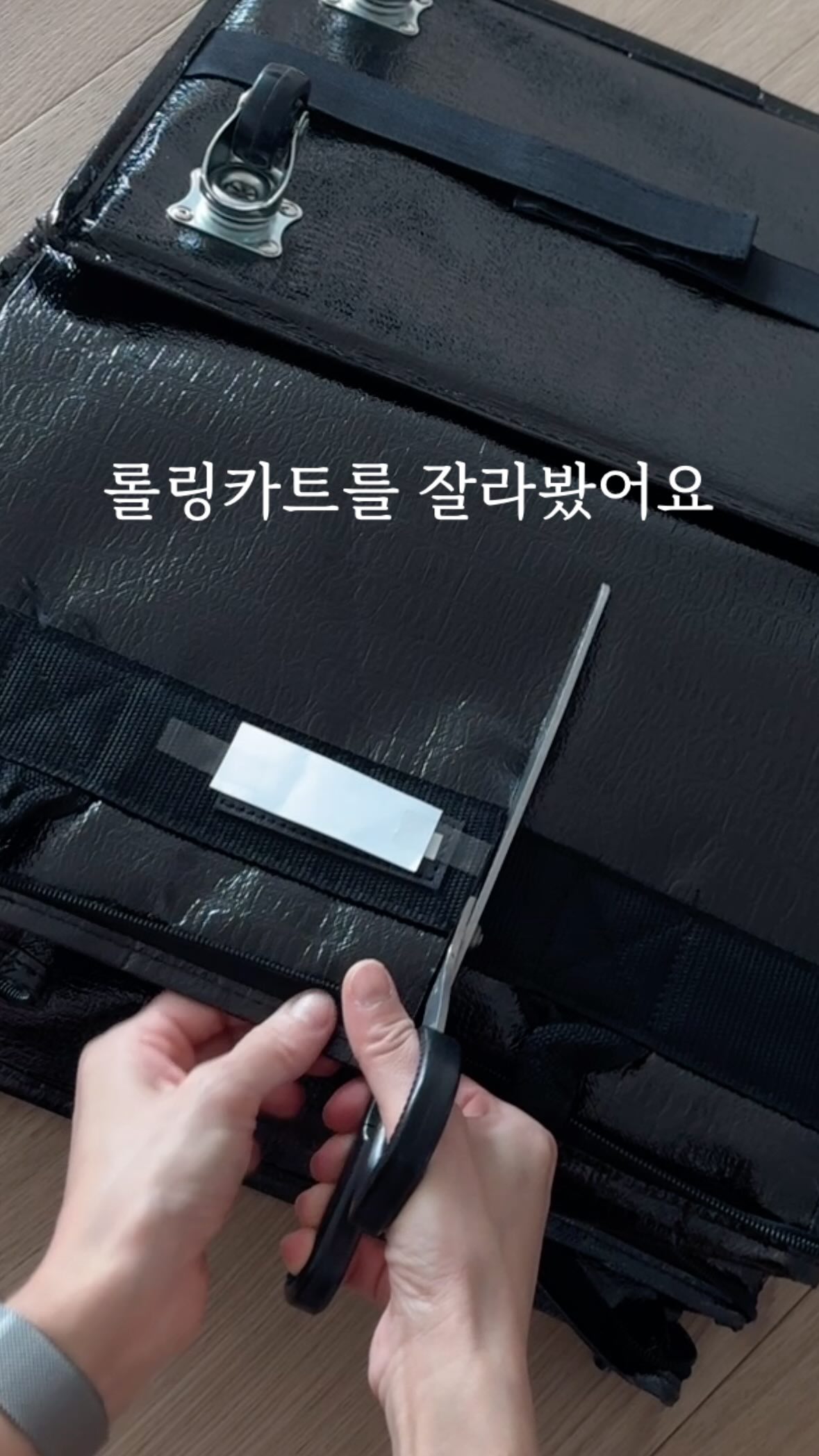 젤리슈즈