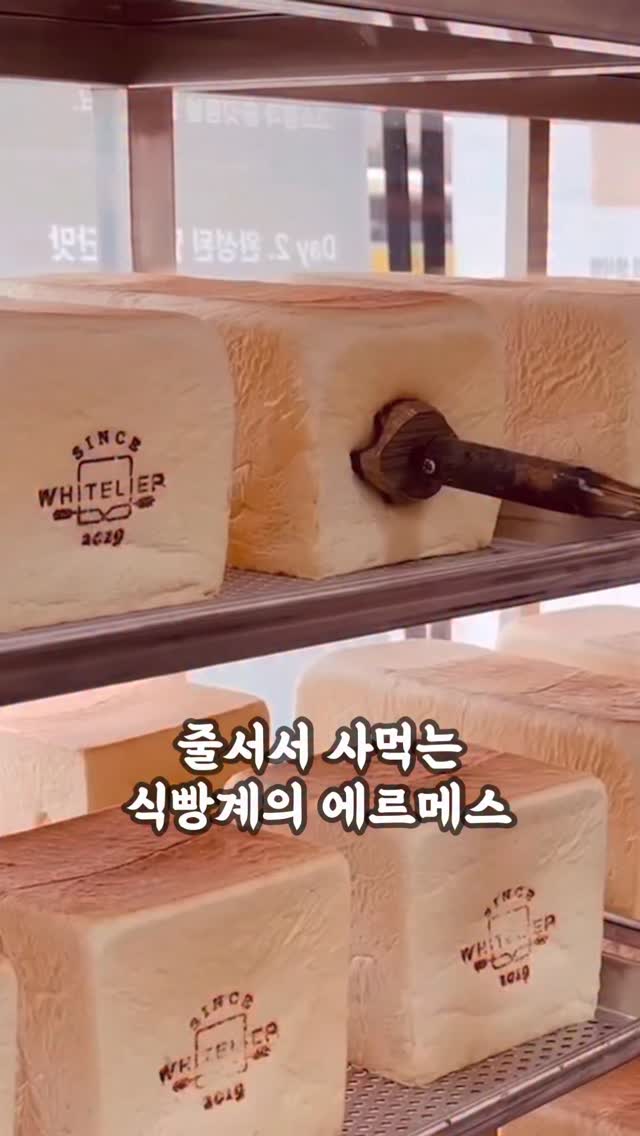 바스켓