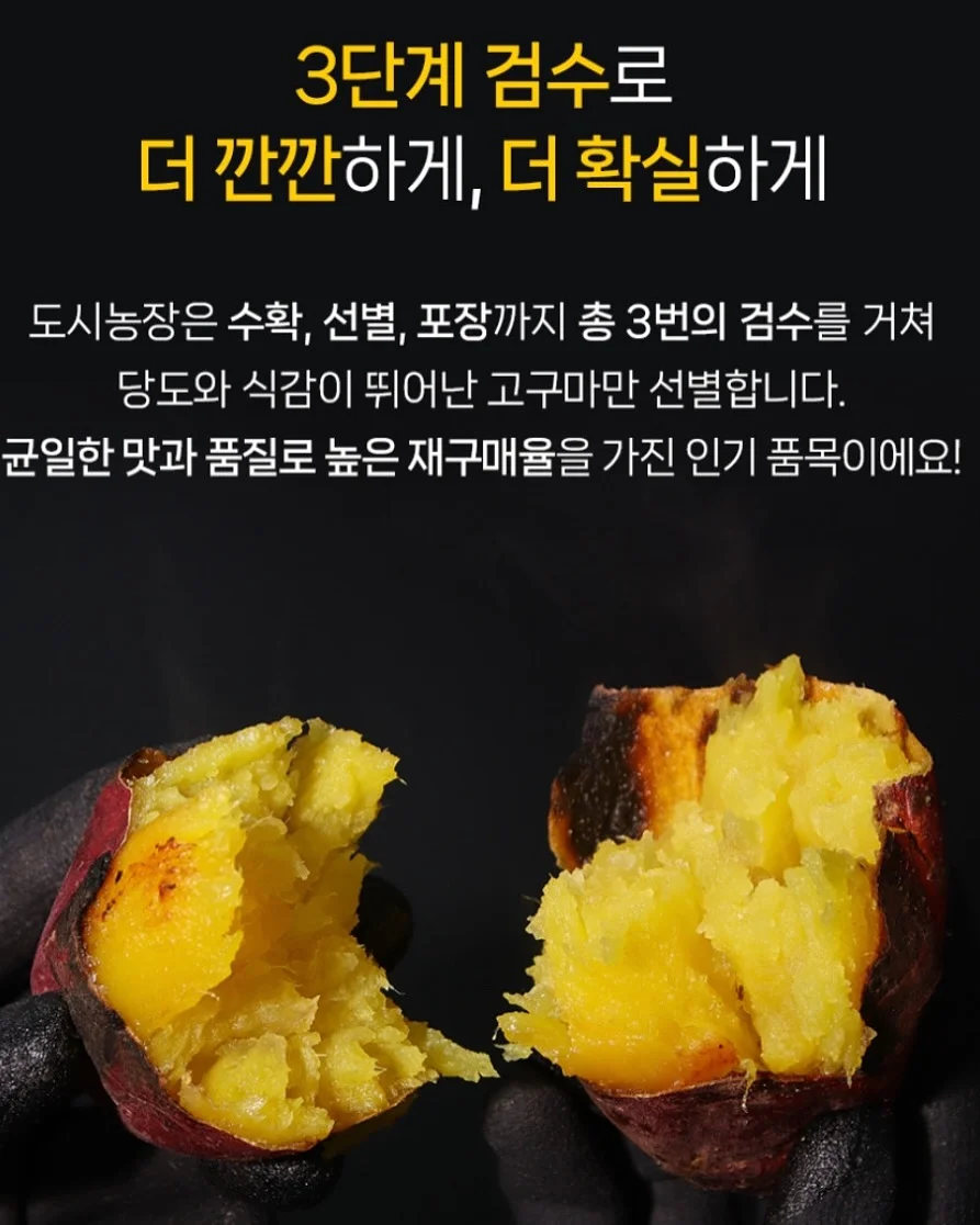 산산기어 여름 아이템 14