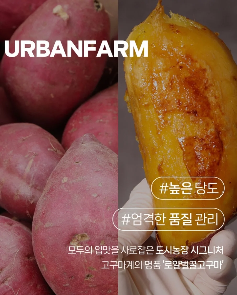 산산기어 여름 아이템 15
