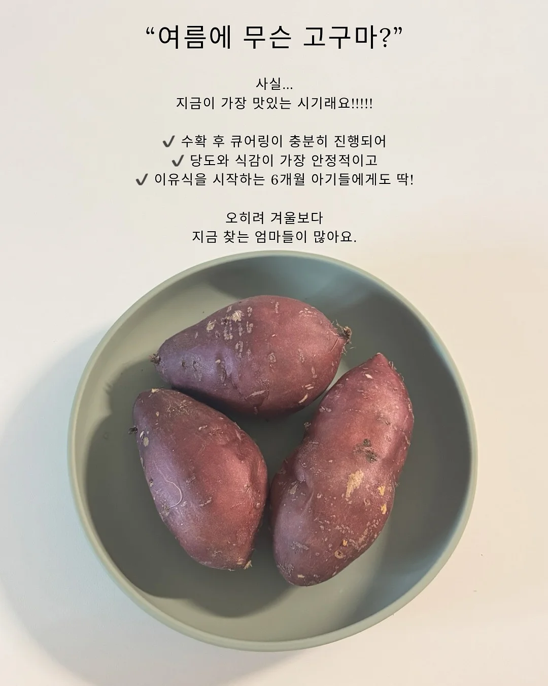 산산기어 여름 아이템 2