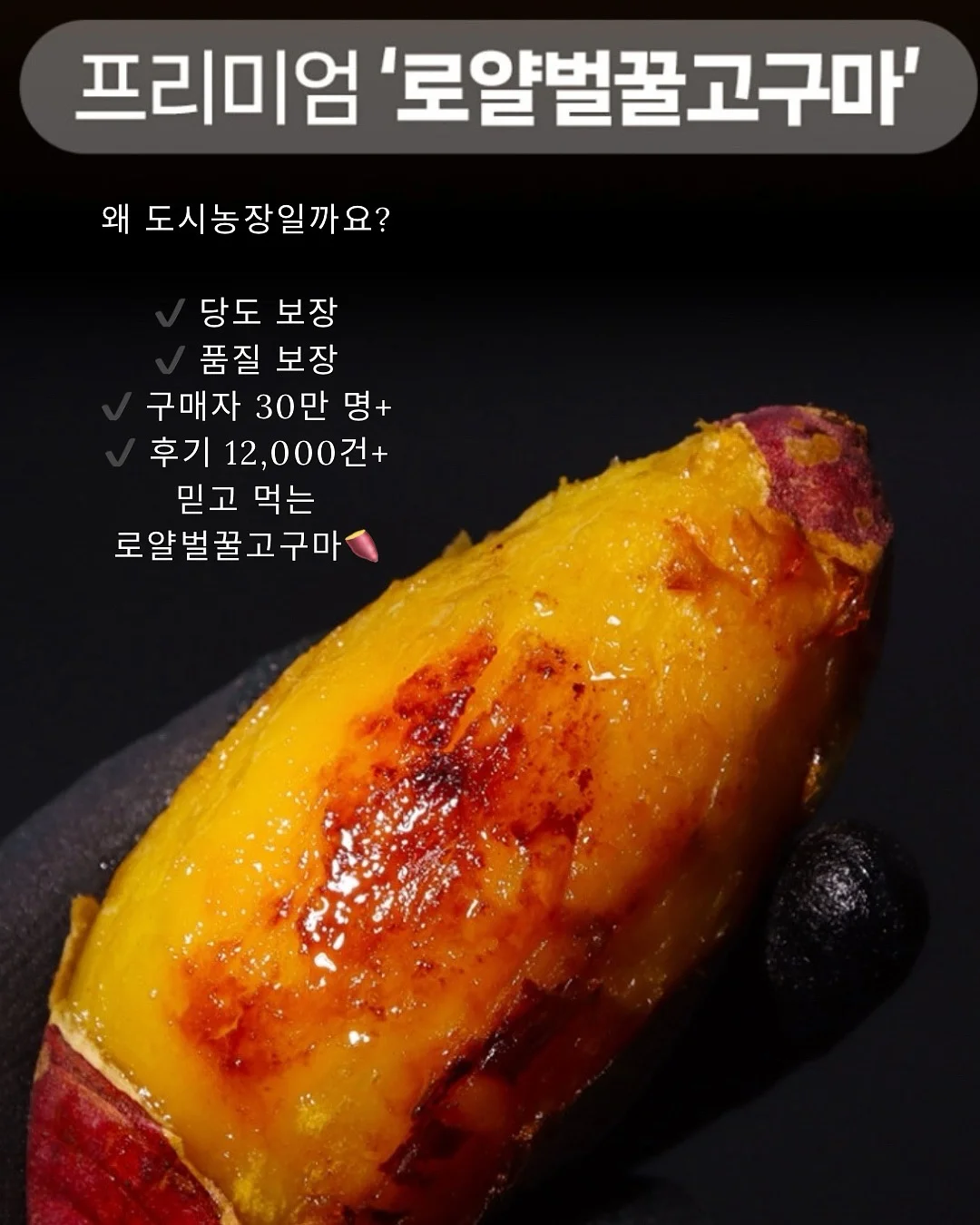산산기어 여름 아이템 3